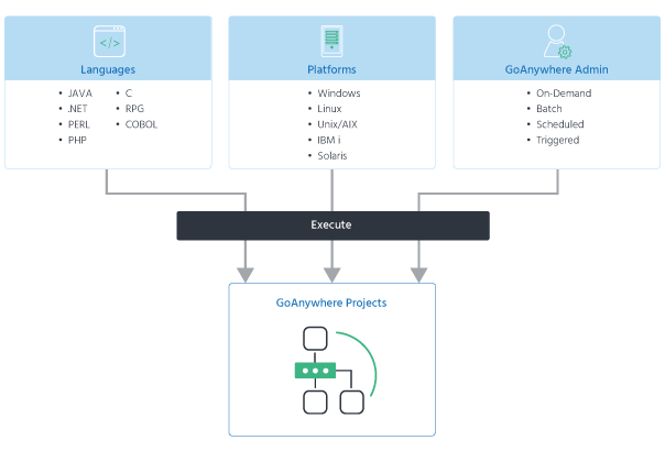 GA Projects Execution